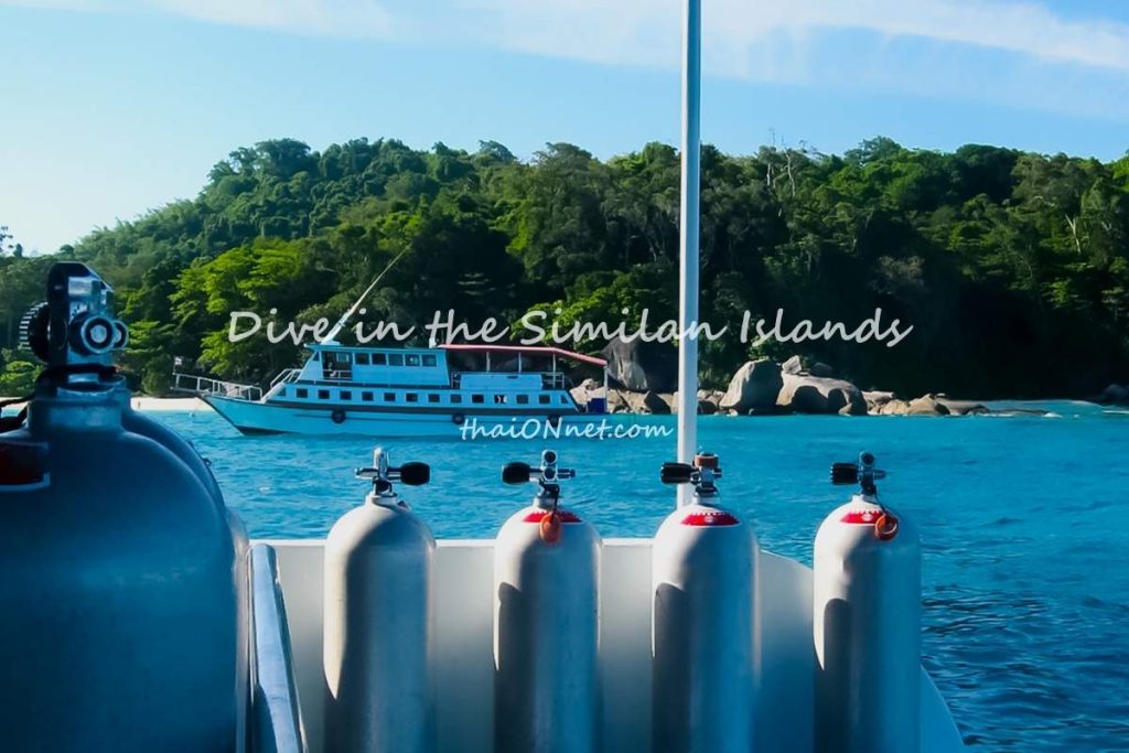 Dive in the Similan Islands Dive in the Similan Islands